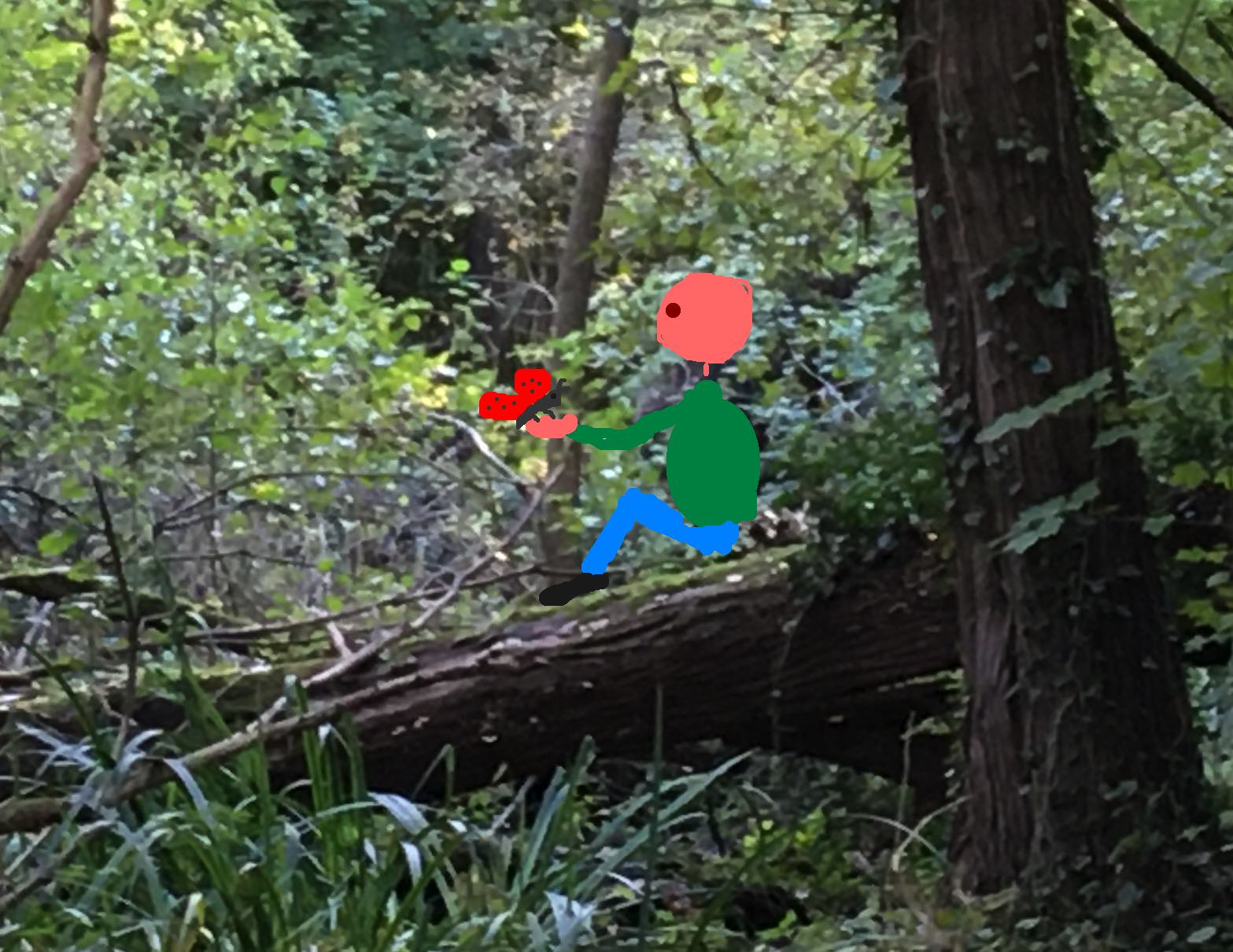 mensch interagiert mit schmetterling